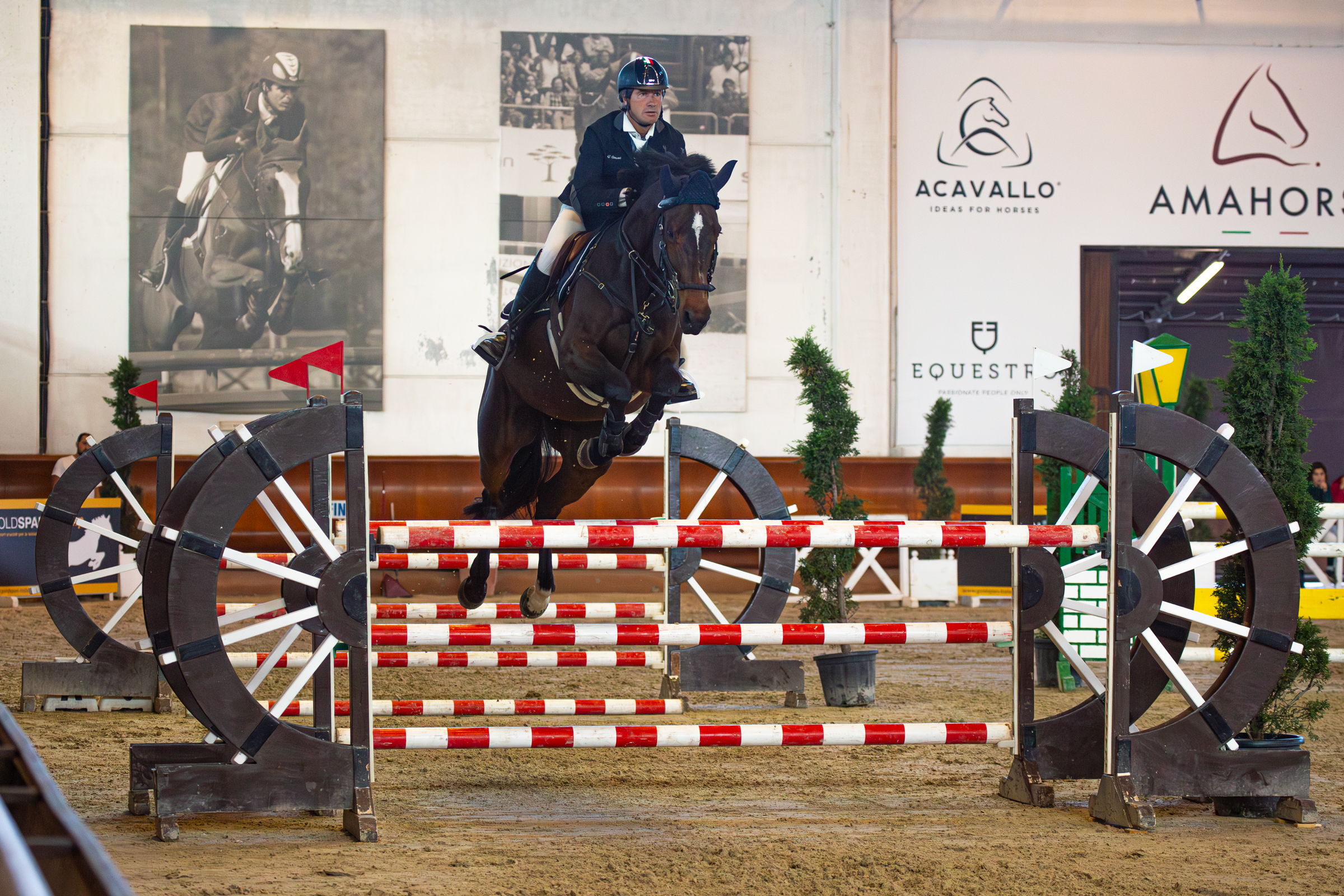 Salto · Arena · Ruote